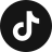 TikTok icon