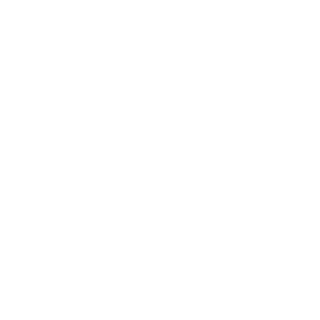 css icon