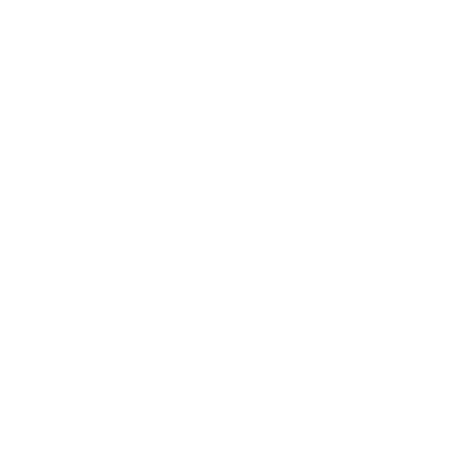 PHP icon