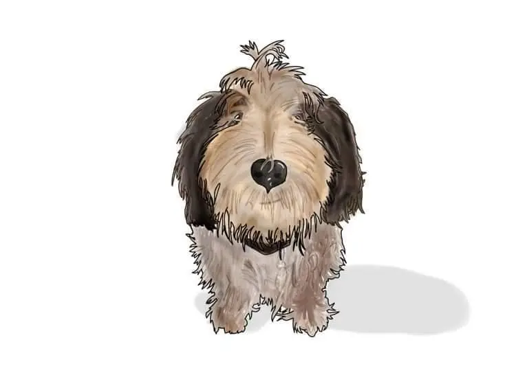 Winnie graphic work